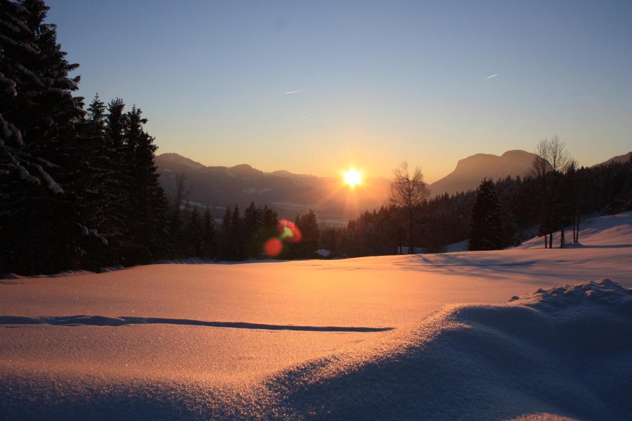 Boutique-Pension Jaegerwirt Scheffau am Wilden Kaiser Exteriör bild